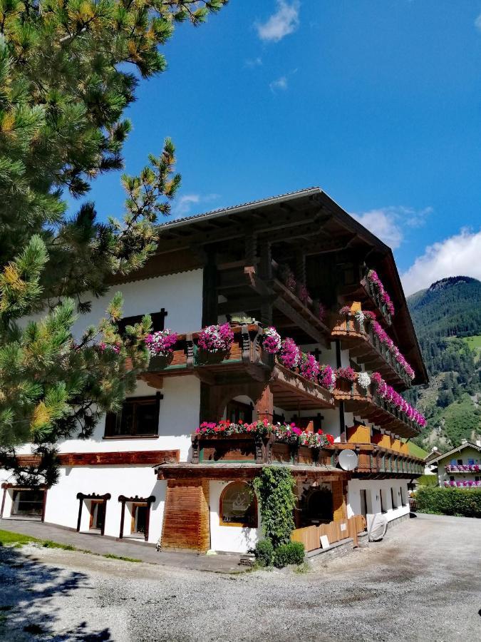 Haus Waldesruh Apartment Neustift im Stubaital Exterior photo