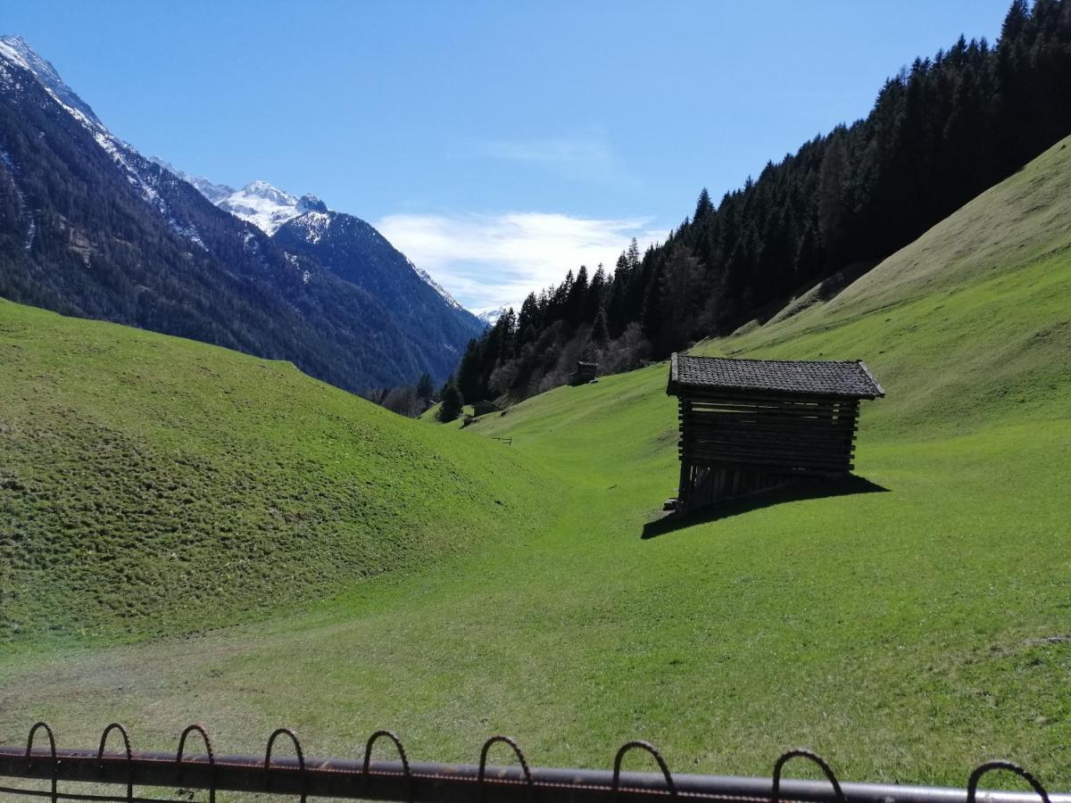 Haus Waldesruh Apartment Neustift im Stubaital Exterior photo