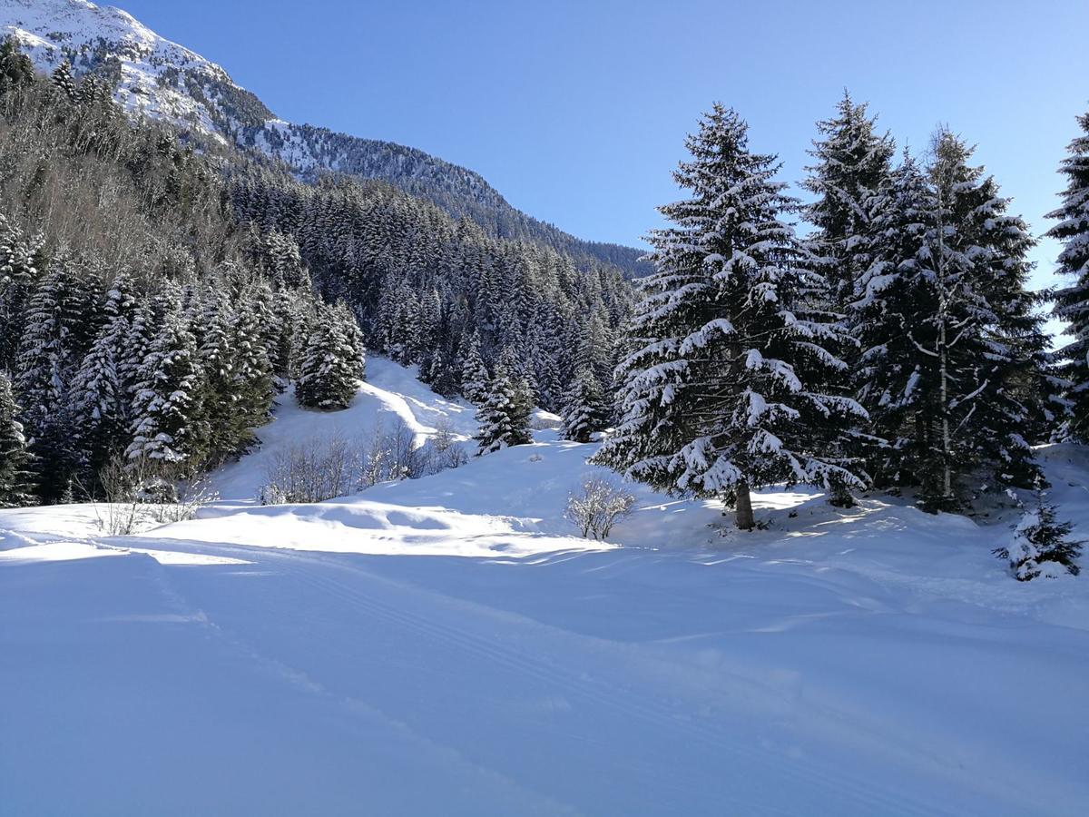 Haus Waldesruh Apartment Neustift im Stubaital Exterior photo